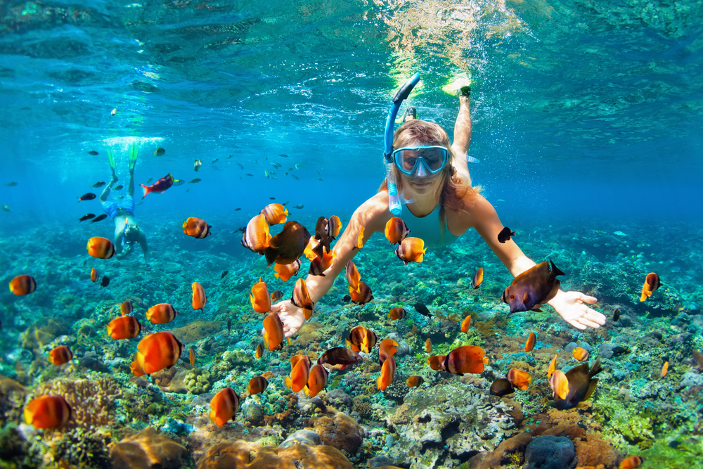 snorkeling seychelles